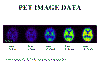 pet_image_data.gif (68236 bytes)
