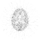parametric image of oxygen consumption: example 1