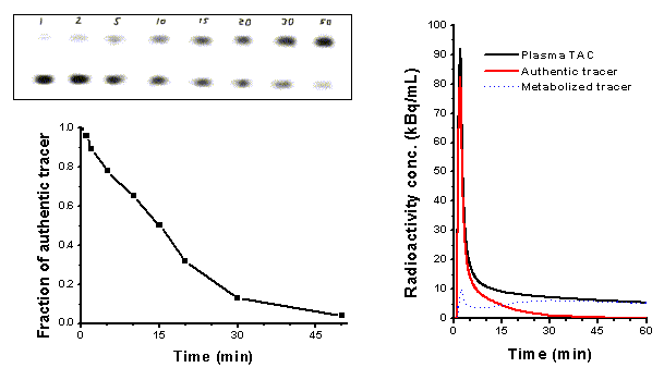 Metabolite correction