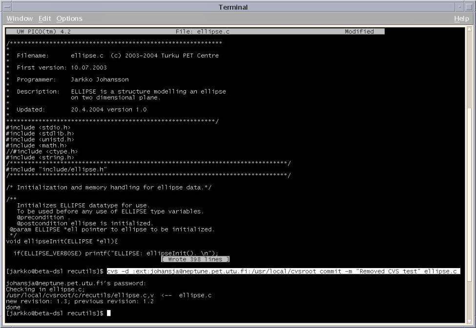 committing changes to remote server